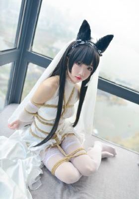 铁血战士大战异形2